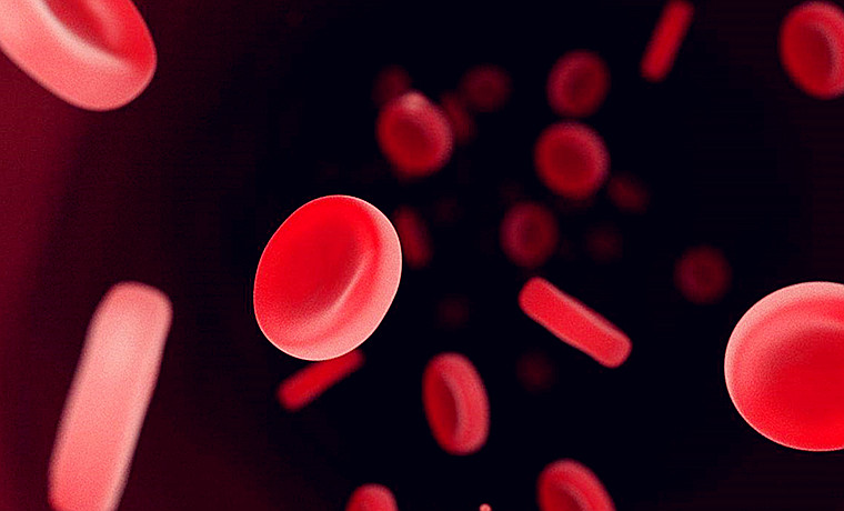 自动生化分析仪的检测样本是血清还是全血呢？